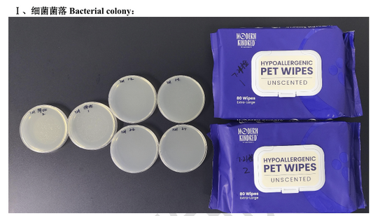 Why Pet Care Products Deserve Stricter Safety Standards