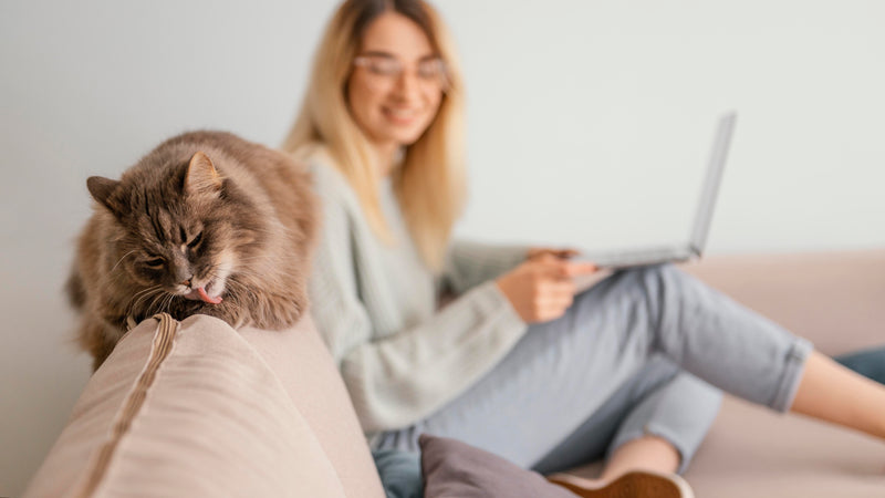 woman sitting indoors with her cat