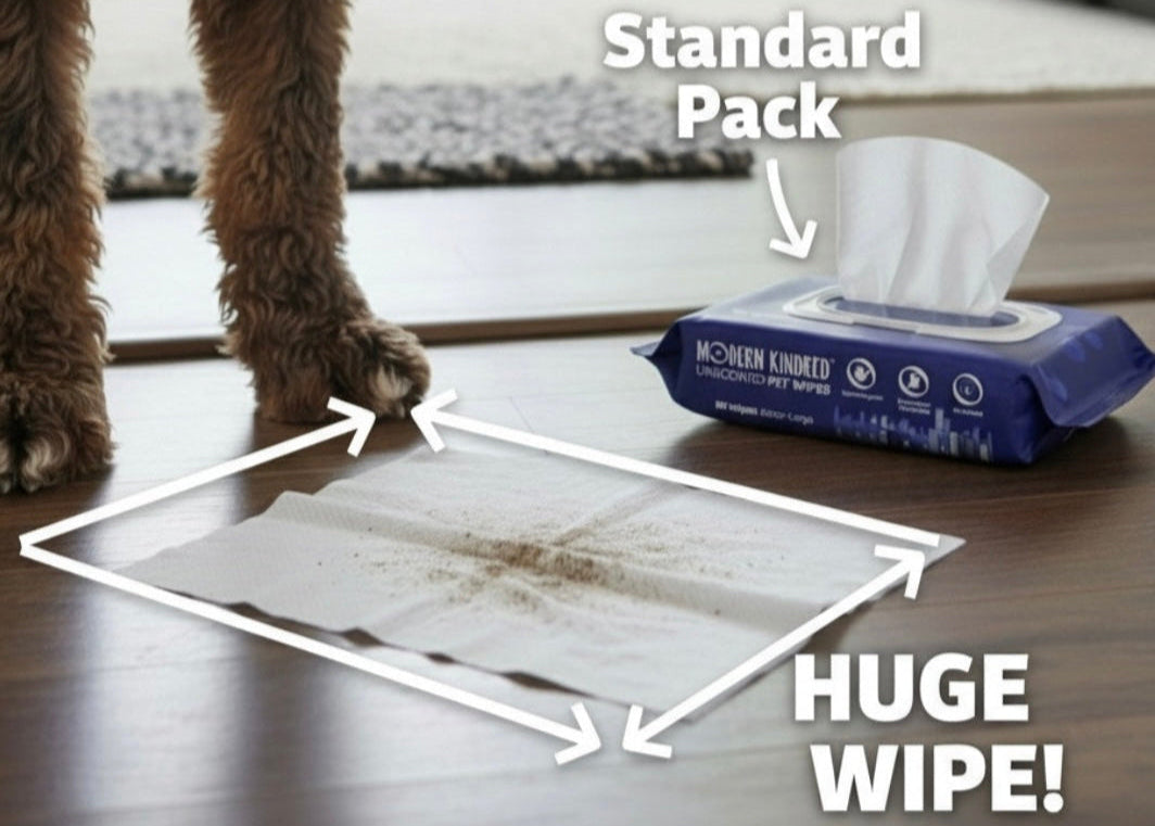 Modern Kindred Pet Wipes Extra Large Unscented