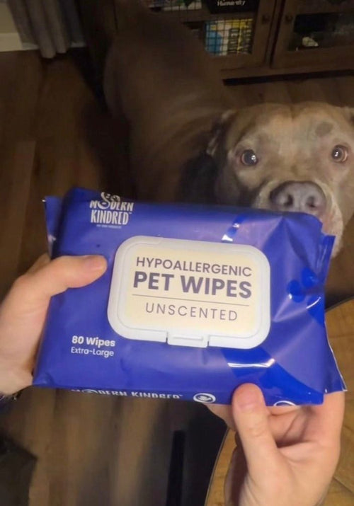 Dog owner holding Modern Kindred Hypoallergenic Unscented Pet Wipes, extra large bamboo wipes for dogs